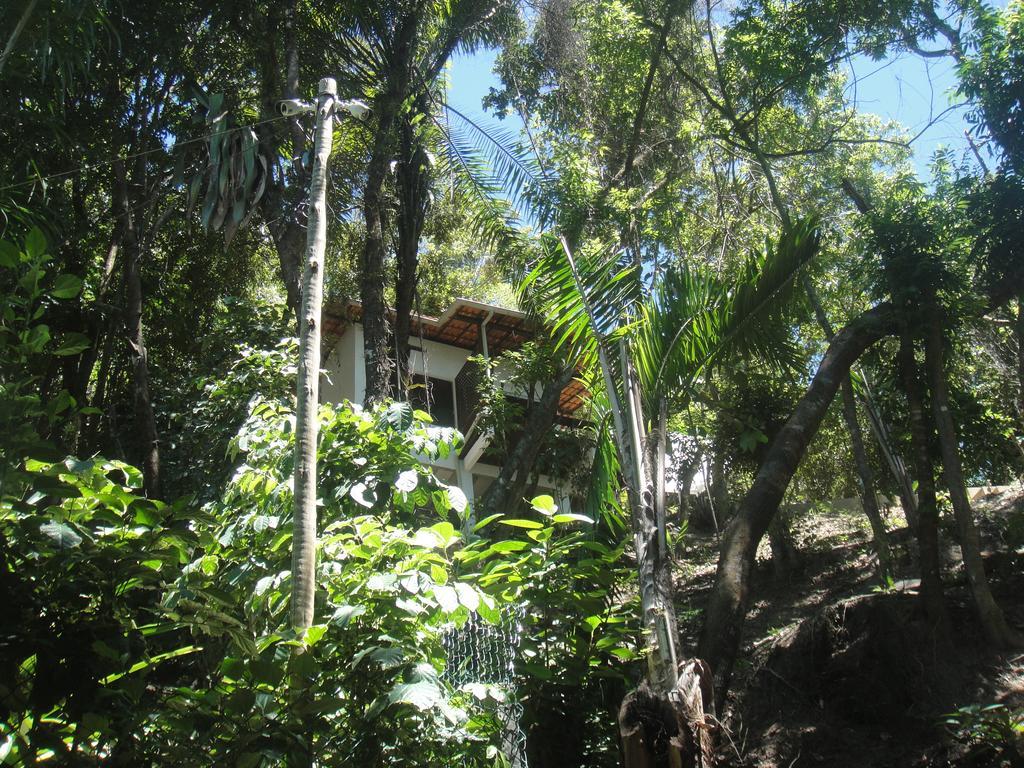 הוילה מורו דה סאו פאולו Casa Shuhari מראה חיצוני תמונה